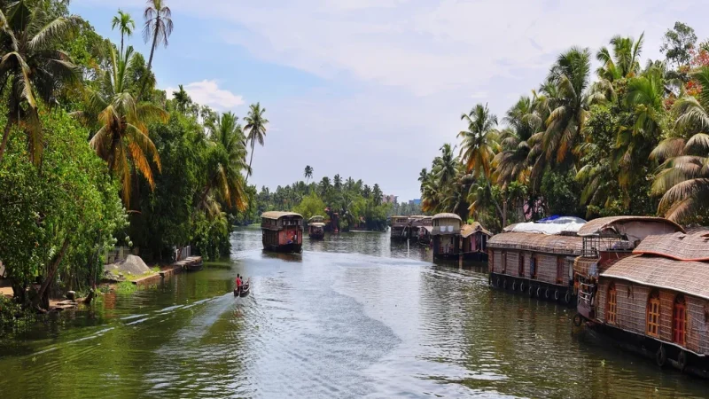 Houseboats in Kerala Backwaters
